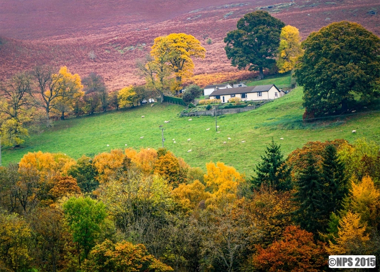 Autumn Colour
Mid Wales this weekend
