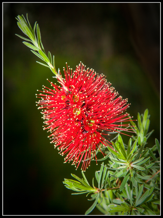 National Botanical Garden

