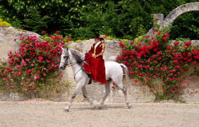 Equestrian Display
Chateau De Chambord, Loire Valley
