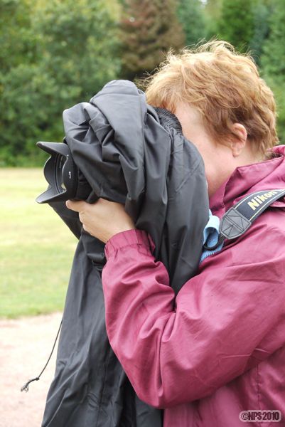 Bird of Prey spotted at Newent
I think its a Trouser billed Nikon- very rare species

