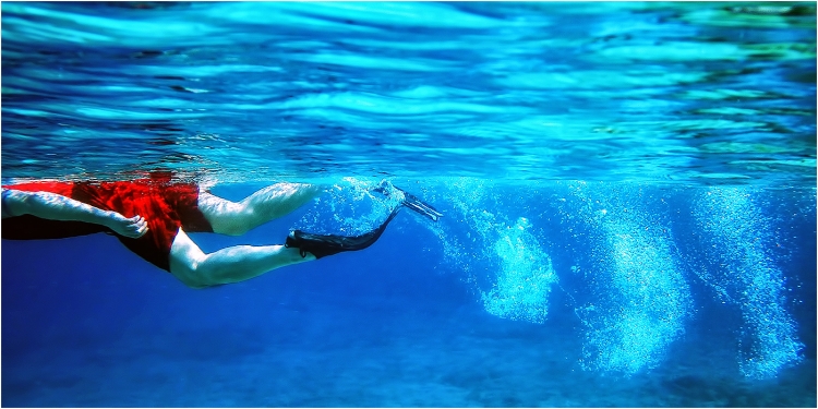 All in the Legs
Scored 16 (pdi), open category.
Pentax WGIII. 6mm, f/3.5, 1/500sec, ISO 125 (underwater setting).
