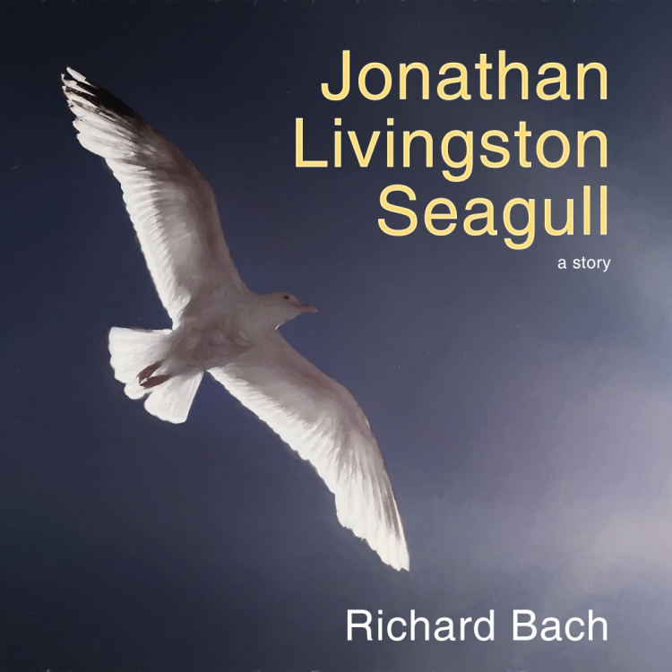 Jonathan Livingston Seagull
Scored 17 (pdi), book titles category.
Pentax K-x. 135mm, f/14, 1/3200sec, ISO 100.

