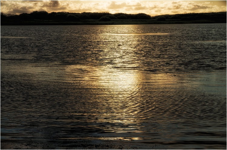Kenfig Nature Reserve, August 2017.
Pentax k-5IIs. 48mm, f/8, 1/1000sec, ISO 200, -1.3ev.
