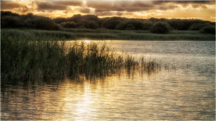 Kenfig Nature Reserve, August 2017.
Pentax k-5IIs. 85mm, f/11, 1/40sec, ISO 200, -1ev.
