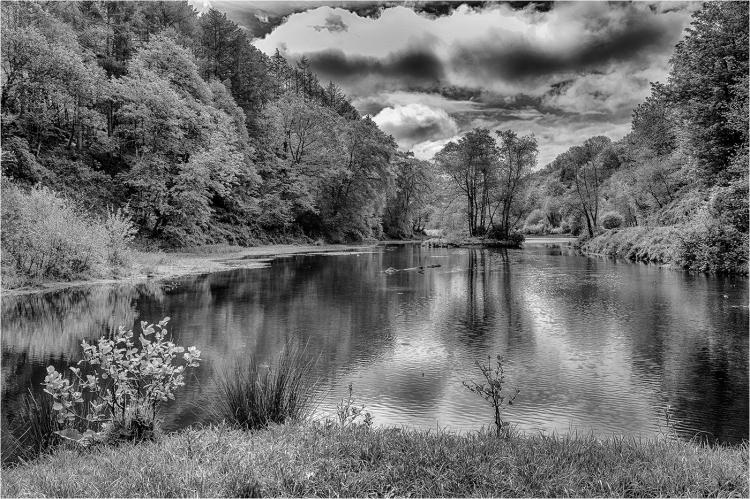 Penllergare
Fujifilm X-T100 f7.1 1/480 ISO 200
Scored 20/20 as a print in Club Competition 5 2019/20
